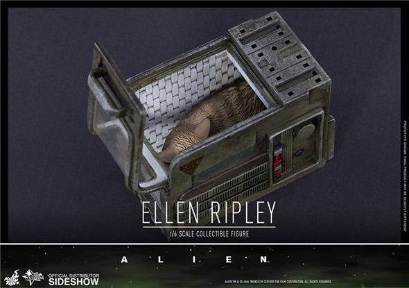 1/6 HOT TOYS - ALIEN ELLEN RIPLEY