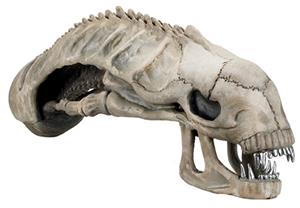 neca-aliens-alien-skull-replica